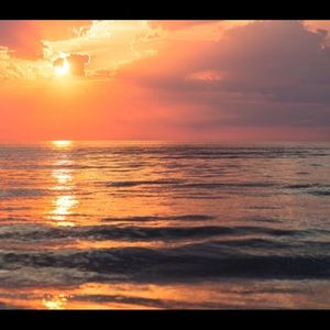 Meet your Posher, Lily